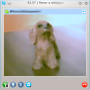 skype_-_screenshot_5.png
