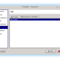 virtualbox_nastaveni_site.png